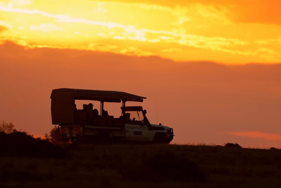 Kenya Safari Cost 2026: What You’ll Really Pay